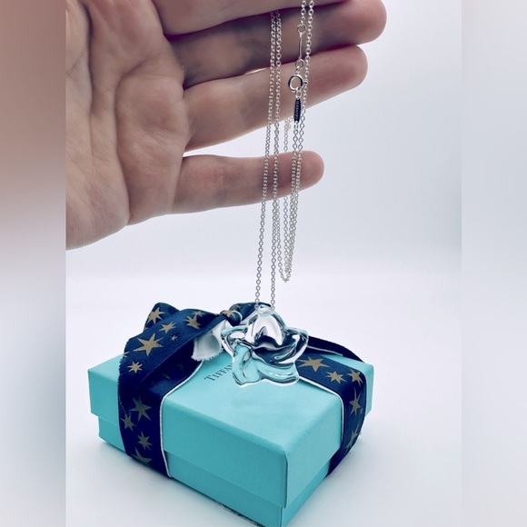 RARE Tiffany & Co. Elsa Peretti Rock Crystal Large Star 30” Silver Necklace - Picture 1 of 10